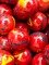 ODIN Red/Blue/Yellow Swirl Glass Marbles 22mm (7/8 inch) SHOOTER Taw (Lot of 5)
